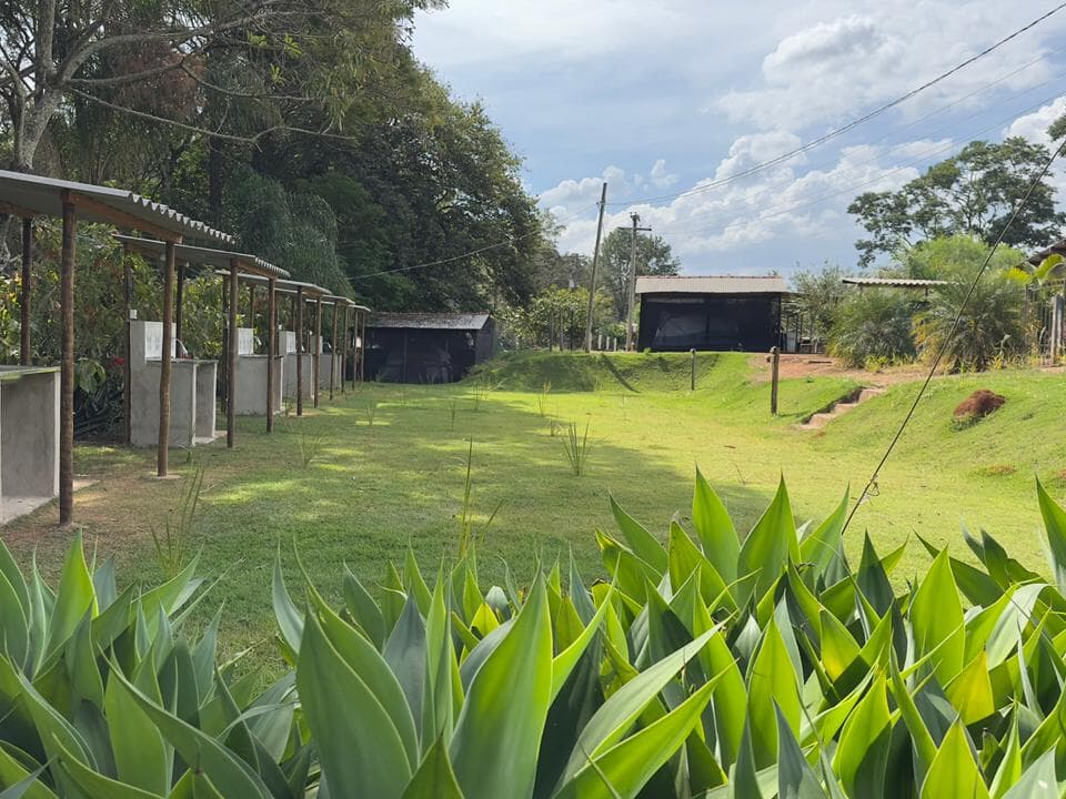 Exclusive Camp